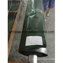 China Green Poly Tarp Cover, Poly Tarp Roll, PE Tarpaulin Roll